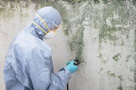 Best Mold Remediation for Healthcare Facilities in Lawrenceville, GA